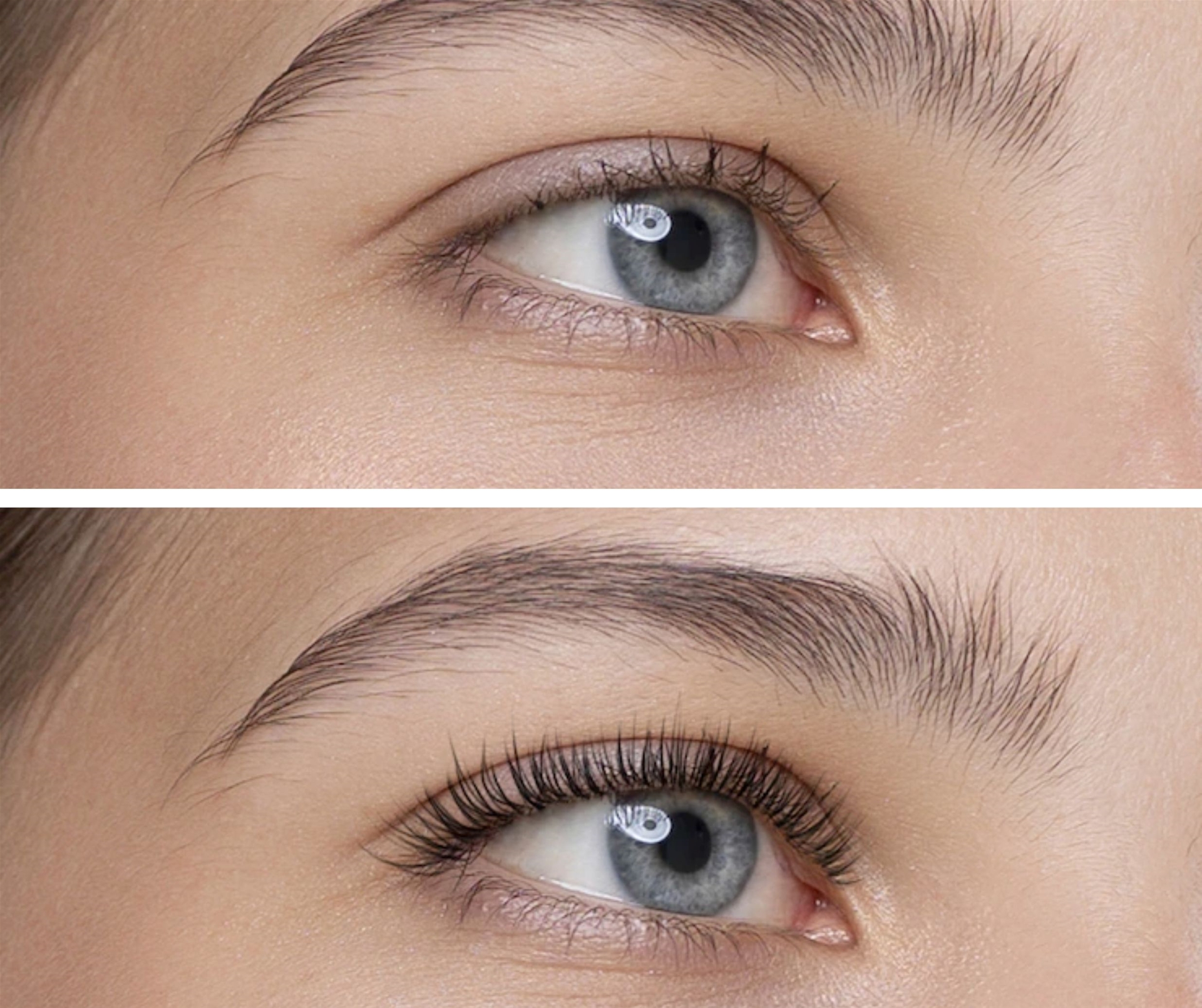 All you need to know about Volume Lashes
